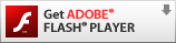 Get Adobe FLASH PLAYER