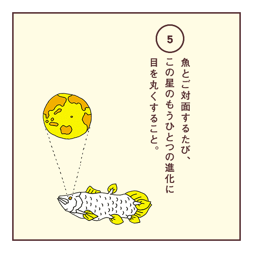 魚とご対面するたび、この星のもうひとつの進化に目を丸くすること。