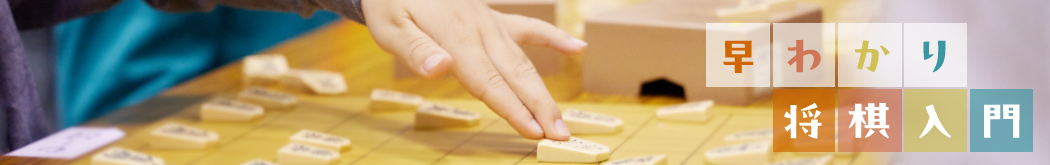 早わかり将棋入門