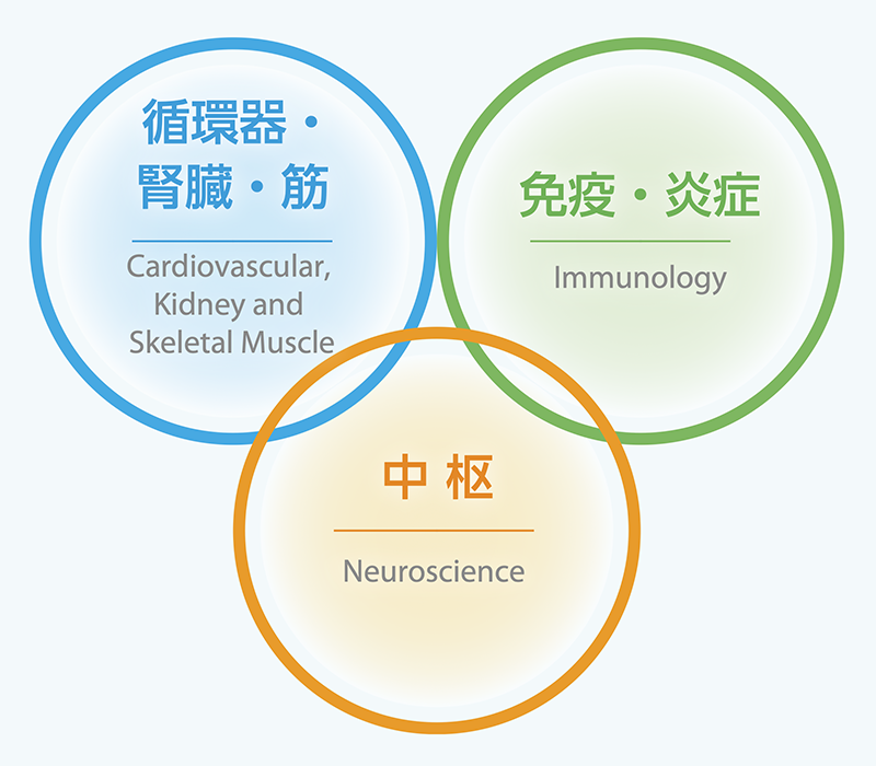 循環器・腎臓・筋 Cardiovascular, Kidney and Skeletal Muscle / 免疫・炎症 Immunology / 中枢 Neuroscience