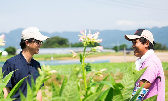 わき芽が少ない新品種の<br class="u-is-sp">開発と<br class="u-is-pc">農家との連携
