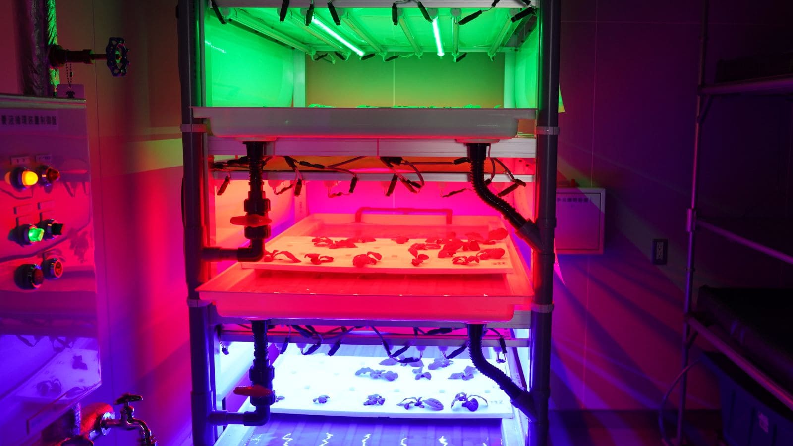 人工光型栽培室