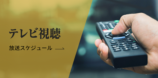 テレビ視聴：放送スケジュール