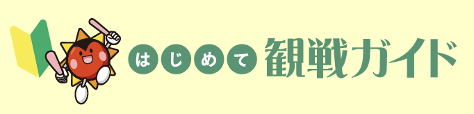はじめて観戦ガイド