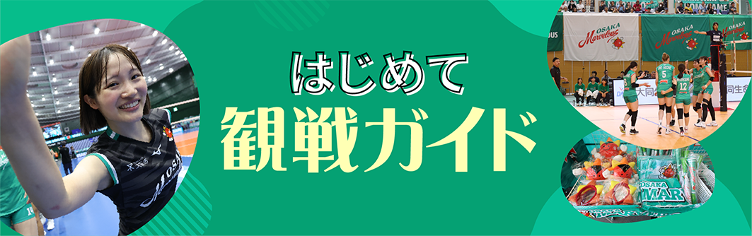 大阪マーヴェラス はじめて観戦ガイド