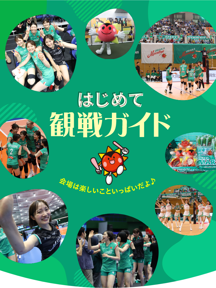 はじめて観戦ガイド