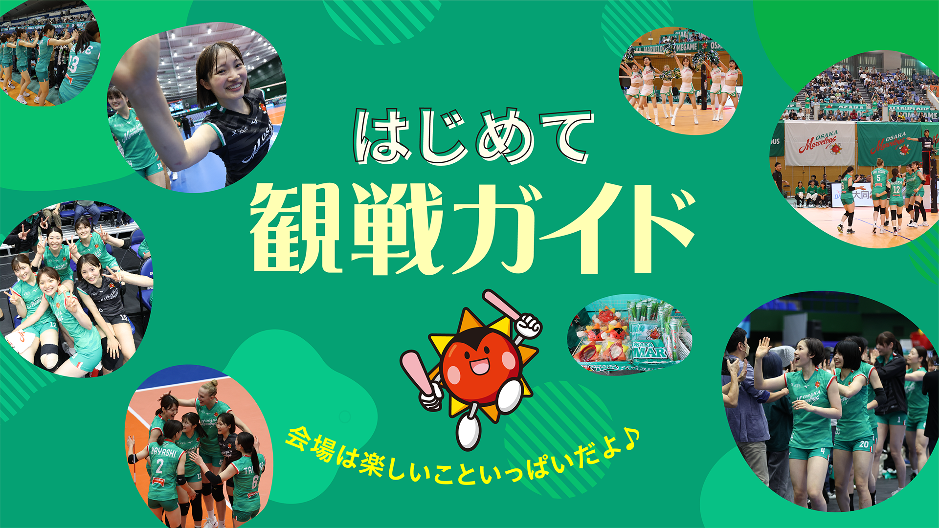 はじめて観戦ガイド