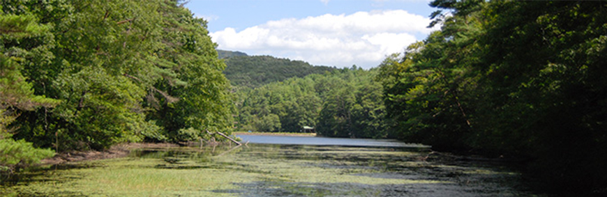 JTの森 鯉が窪にいみ（岡山県）