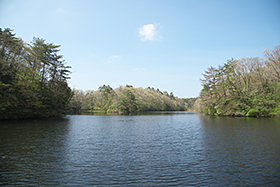 希少な湿生植物が自生する鯉が窪湿原。