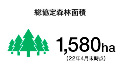総協定森林面積