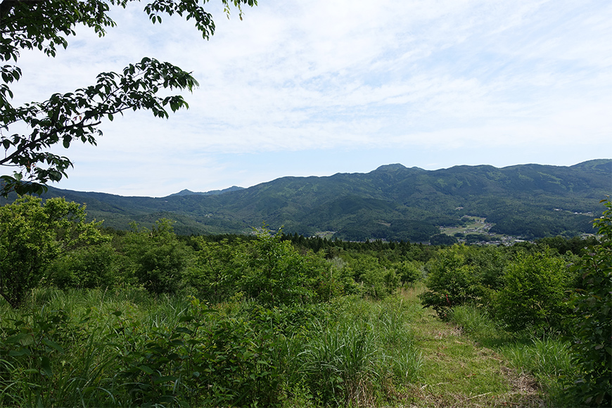 JTの森 中津川（岐阜県）