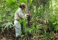 森林の動植物を把握するための生態調査