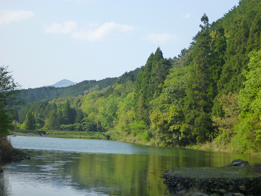 JTの森 ゆのまえ（熊本県）