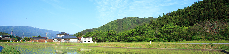 JT東日本大震災復興支援 「『ひと』と、未来へ。」