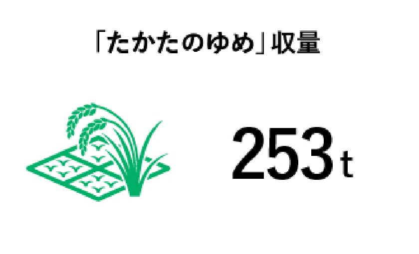 「たかたのゆめ」収量