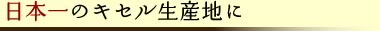 日本一のキセル生産地に