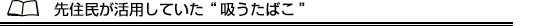 先住民が活用していた “吸うたばこ”